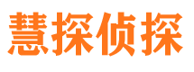 莲湖侦探公司